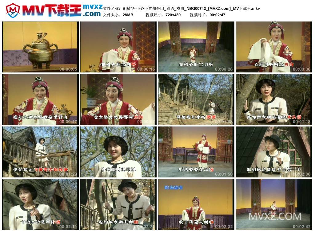 胡敏华-手心手背都是肉_粤语_戏曲_NBQ00742